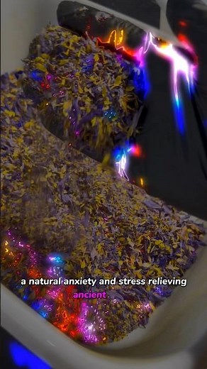 Blue Lotus. A great legal herb you can smoke as a alternative to 🍃&🚬 #bluelotus #spirituality