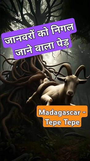Tepe tepe. The Man-Eating Tree of Madagascar. Mysterious tree. #shorts #youtubeshorts #facts
