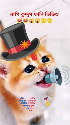 কুদ্দুস ফানি ভিডিও 🤣🤣shorts#viralvideo #cat #shortsviral #cute