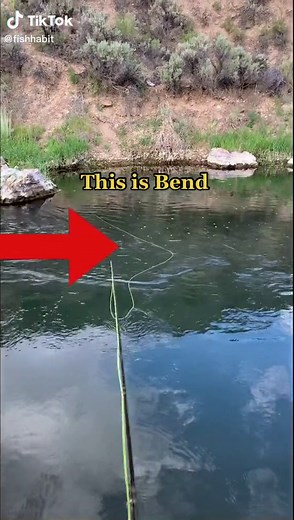 Mend the Bend #howtoflyfish #fishingtutorials #fishtok #fishhabit #mendyourline #flyline #myflylife #troutbum #orvisflyfishing #howtocatchfish #flyfishingnation #onthefly #wildrainbow #mendthebend #howtocatchtrout