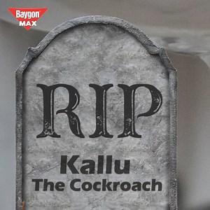 119K views · 694 reactions | Stop playing hide & seek with cockroaches, start killing them from every corner of your kitchen. MAXIWAND will reach every hidden spot  Buy now: https://bit.ly/3ANs5DL #BaygonMax | Baygon | Facebook