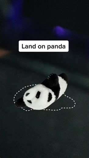 Penguins for life (@penguin_army.ontop)’s videos with