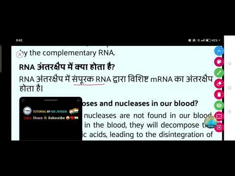 What happens in RNA interference?