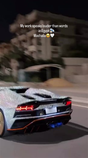 هي التحفة احتاجت أكثر من (مليون حبة حجر شوارفسكي) لإنهائها، وأكثر من شهر من العمل المتواصل مع فريق كامل مكون من 10 أشخاص أنا دربتهم خصيصاً لهذا العمل. This masterpiece required over (1 million Swarovski crystals) to complete. It took more than a month of continuous work with a team of 10, personally trained by me exclusively for this project.