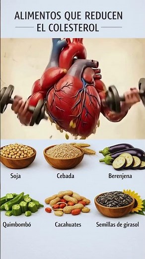 6 Alimentos Probados por la Ciencia para Bajar el Colesterol