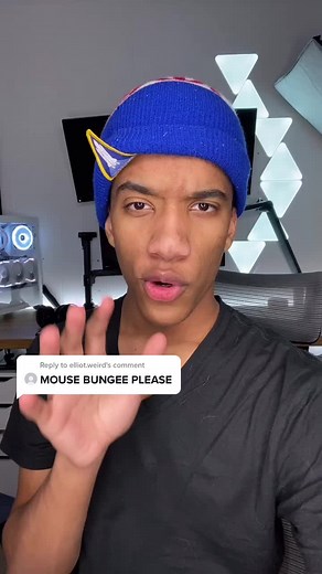 What Does a Mouse Bungee Do? PC278 Mouse Insights