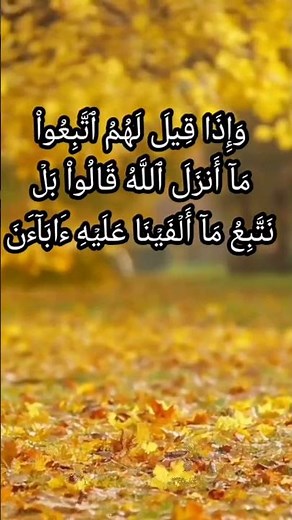 عطر صباحك❤️سورة البقرة❤️ #القران_الكريم #سورة #البقرة #مترجمة #إنجليزي #أسباني #أحمد_العجمي ٧١