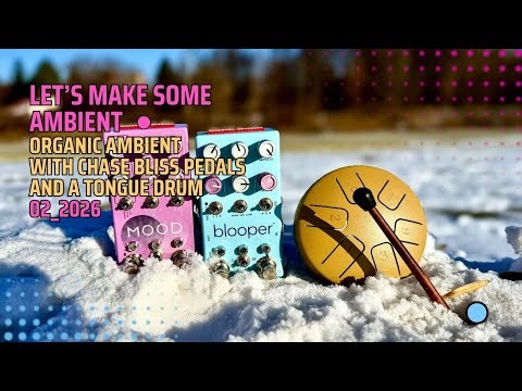 Organic Ambient with Chase Bliss Blooper, MOOD MKII and a TONGUE DRUM