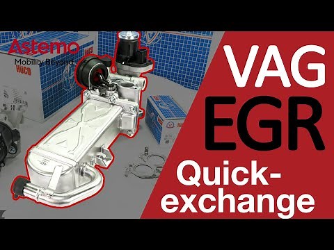 VW EGR DEFECTIVE? How to find the defect and replace EGR Valve | Astemo Aftermarket Germany