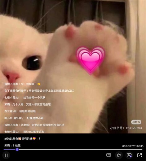 2026.1.22 周湘口袋电台 AI字幕