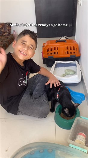 Aaed Abusweilem on Instagram: "Simba is getting ready to go home… 🐾💚 Follow to see what happens next. 👀✨"