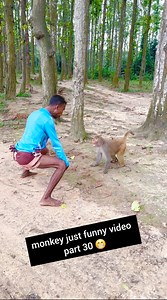 5.8M views · 10K reactions | monkey just funny video part 30 | MD Hwatulla | Facebook