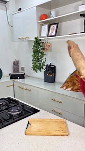 I made pounded yam with egusi soup in less than an hour with the help of my @buchymix multifunctional food processor. I used it to pound the yam and also to roughly blend my pepper mix, and everything turned out 100/100 | Hafsat Ahmad Rufai