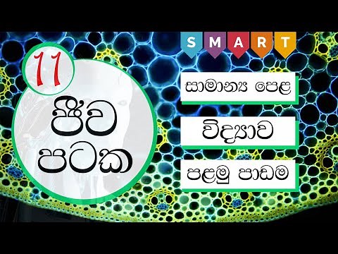 O/L Science in Sinhala | Biological tissue ( ජීව පටක ) | 1 වන පාඩම - පළමු කොටස | Grade 11 science