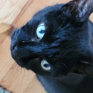 MGfromTN on GETTR - Profile and Posts on GETTR