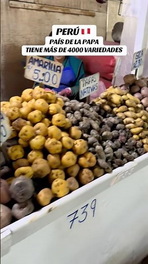 MORE THAN 4,000 VARIETIES OF POTATOES 😱🇵🇪 #peru