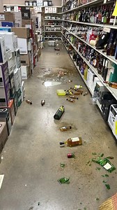 Raccoon passes out on bathroom floor after 'liquor-fueled rampage' | The US Sun - Tech