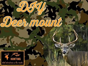 DIY Skull Cap Deer Mount