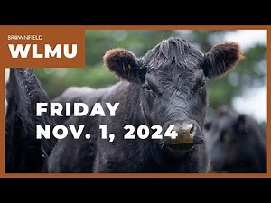 Live cattle futures down $3 on the week | Weekly Livestock Market Update
