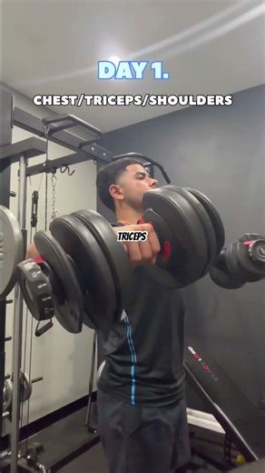 Most effective Gym-Split? #shorts #fitness #gym