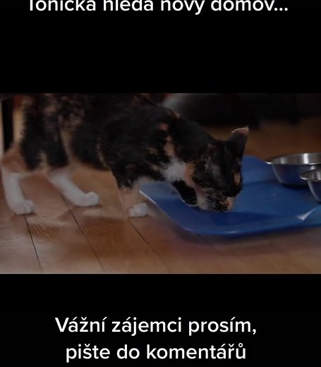 Videa uživatele Dj Roxtar (@dj_roxtar_official) s původní zvuk - Dj Roxtar