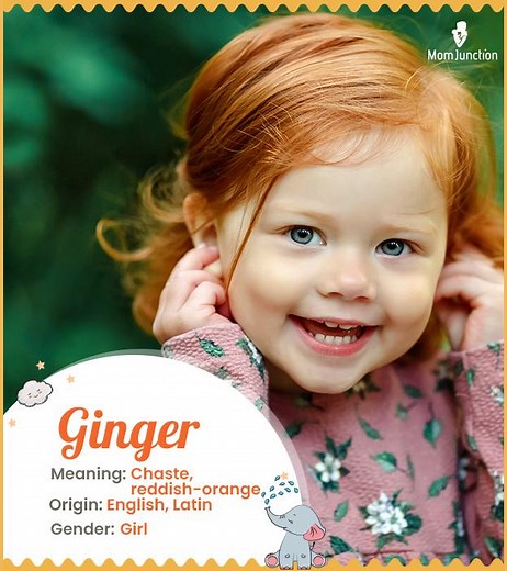 Ginger Name Meaning, Origin, History, And Popularity