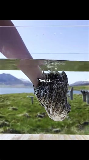 Exploring the World of Physical Fitness