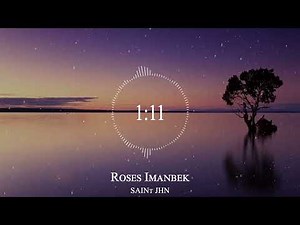 SAINt JHN - Roses Imanbek Remix