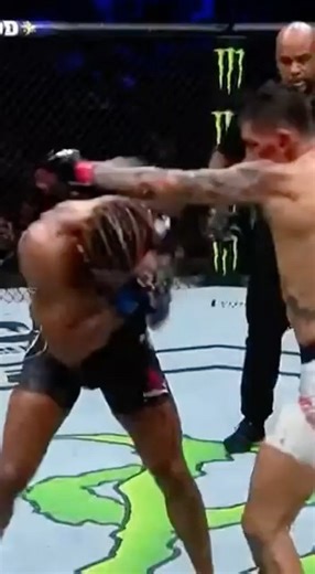Insane Spinning Kick Knockdown at UFC Event 🔥🥋