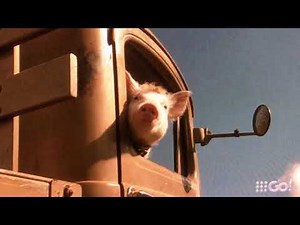 Babe pig in the city save the farm