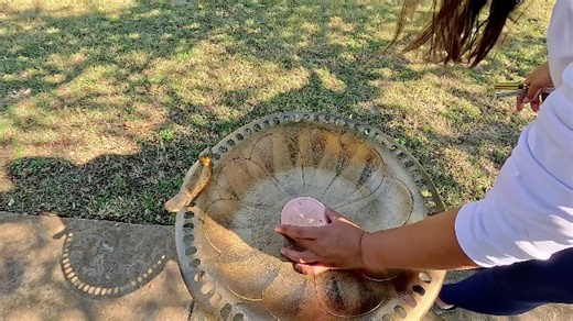 Watch Natural Copper Water Cleaner | #Sponsored on Amazon Live