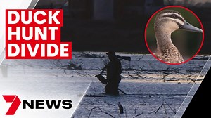 4.3K views · 40 reactions | There's been a swift backlash to the premier's new duck hunting rules. Animal activists are appalled the hunt is going ahead, but hunters are equally unimpressed it's been restricted. 7NEWS at 6pm | More local news: www.7NEWS.com.au/news/vic #7NEWS | 7NEWS Melbourne | Facebook