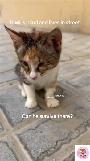 ‼️🚨WE BEG FOR HELP URGENTLY:- Can you help save another life?kindly visit our link in bio to donate.