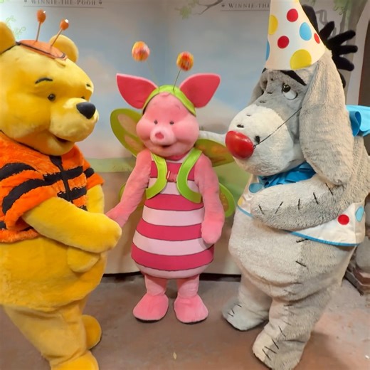 36K views · 2K reactions | Jeff met Pooh, Piglet and Eeyore during Mickey’s Not-So-Scary Halloween Party last night. Tigger was absent for this set. Pooh is a bee, Piglet a butterfly and Eeyore a clown. They are always extremely popular! Don’t forget to ask for the autograph card. #mickeysnotsoscaryhalloweenparty #notsoscary #notsoscaryhalloweenparty #mnsshp #magickingdom #winniethepooh #pooh #eeyore #disneycharacters #disneyhalloween | Mousesteps | Facebook
