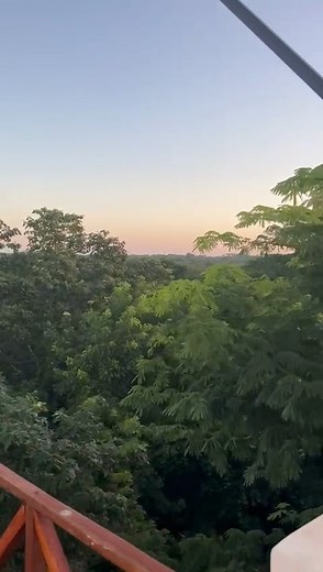 Descubre el cenote Spazi-Ha en Yucatán, abriendo el 1 de enero de 2024. 🌿🌊 Este oasis oculto con aguas turquesas es perfecto para nadar y descansar, ofreciendo un espejo natural que refleja la belleza de la selva y brinda una escapada relajante. 🍃🌴 #DescubreValladolid #valladolidyucatan #cenotes #yucatan #cenotesmexico #mexicomagico #mexicotravel #cenotespaziha #mochileros #mexicotravel | Spazi-Ha Cenotes