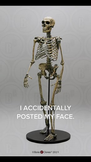 Wilson (@bigdickcyrus)’s videos with Man Crying (Version 1) [Male Person Boy Cry Sobbing Noise] [Sound Effect] - Finnolia Sound Effects