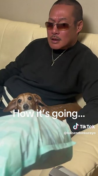 Understanding My Relationship With Kamikaze’s An-chan