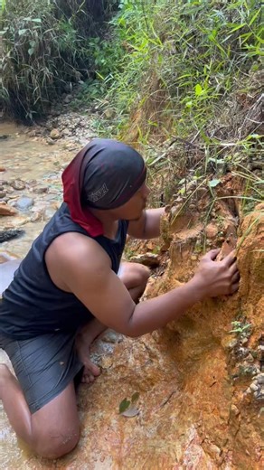 The village is excited to find a lump of gold behind the ground #gold