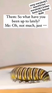 There's so much to say about this, so many analogies to be drawn. If you're going through a hard spot, keep going. Change is inevitably right around the corner. And when you focus on what's good and right, you won't believe the change that's coming. You will be somebody entirely different. My song is called everybody's beautiful but everybody's broken. It's meant for people who are dying to themselves and being resurrected into a new life. I hope that's you, today! | some guy named robb
