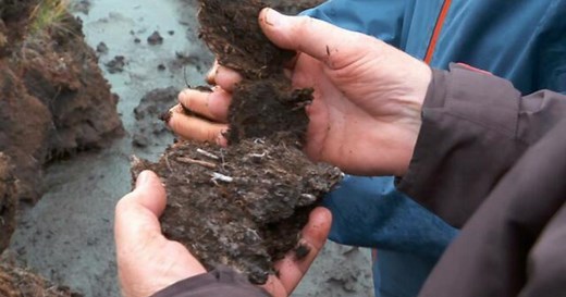 Scotland's peat bogs recognized for their vital role in storing carbon