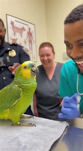 Parrot to Vet: “You Look Like You Sell Organs on eBay!” 😂🦜#TalkingParrot #FunnyVetVisit #ParrotRoast