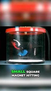 What a Moon Gravity Test Reveals