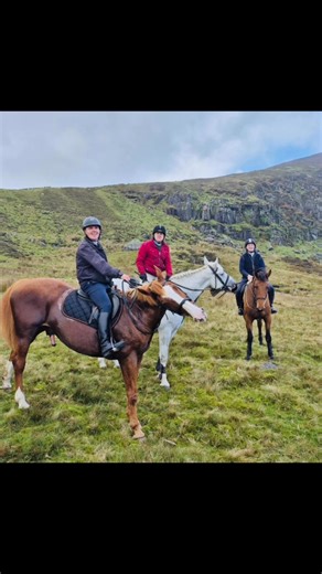 Thank you very much to michalins pub for the hospitality at the Maon Falls today and all the surrounding neighbours for coming out to see all the horses and ponies as they passed by. | Dungarvan Foxhounds Supporters Club