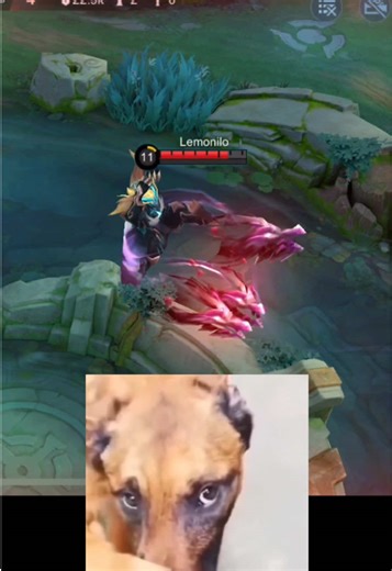 Mobile Legends Bang Bang: Pinter Kagak?