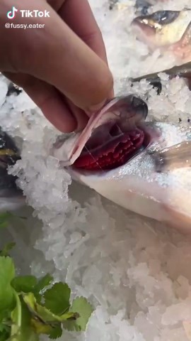 How to Check the Freshness of Fish