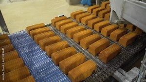 Marble cake factory line production on a conveyor belt Stock Video