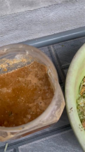 Đây là bài tẩy giun sán bằng đu đu mk đã chia se cách làm cho ae một lần và mk vẫn đang dùng đợt tới mk sẽ lên một bài men thao dược trị sán mắt nhé ae | Hồng Tiến Gà Chọi