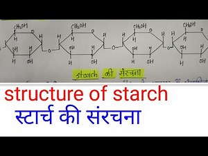 स्टार्च की संरचना,starch in hindi, structure of starch in hindi,BSC final year organic chemistry in