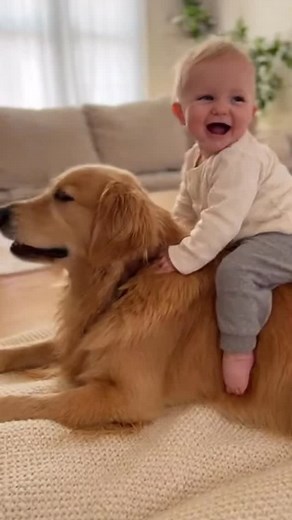 4.2K views · 190 reactions | Baby’s Happy Dog Ride #babyanddog #babiesandpets #funnybabies #dogvideos #babylaugh #adorablemoments #petsandbabies #cuteanimals #heartwarming #cutenessoverload #familyfriendly | Baby & Pets | Facebook