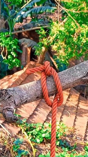 The Secret Knot for Perfectly Securing Tree Branches!